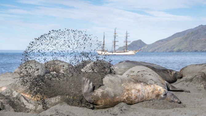 Ocean Harbour and St. Andrews Bay Jordi Plana Morales Bark EUROPA South Georgia