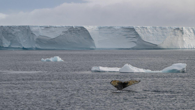 Antarctic Sound