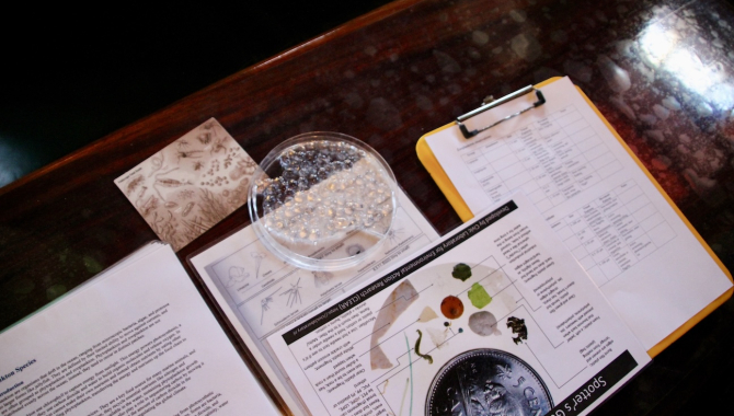 Plankton Trawling North Atlantic