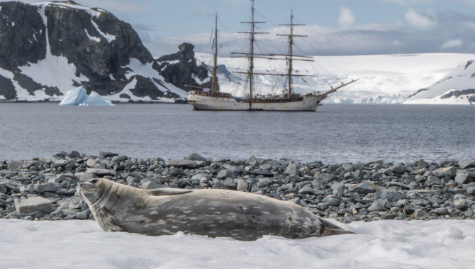 South Shetland Islands by Jordi Plana Morales
