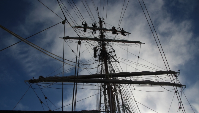 Matt Buchman Antarctica Bark EUROPA