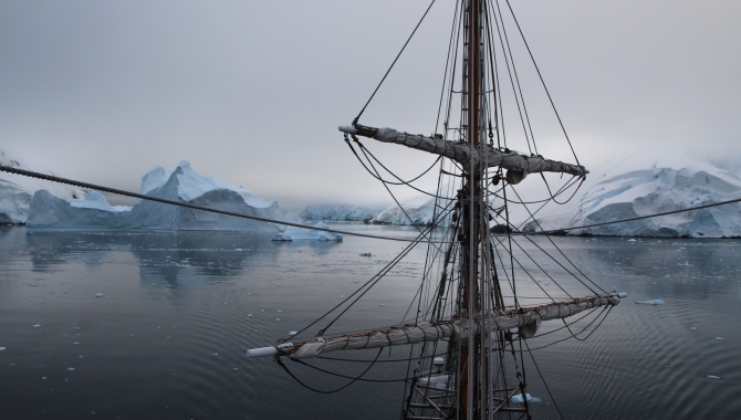 Matt Buchman Bark EUROPA