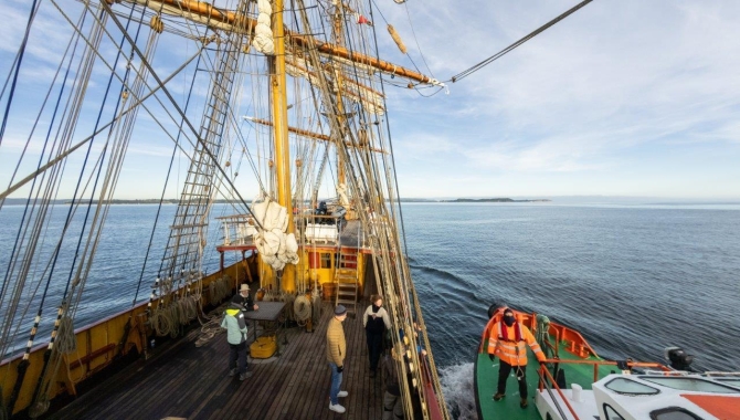Humboldt Current Bark EUROPA