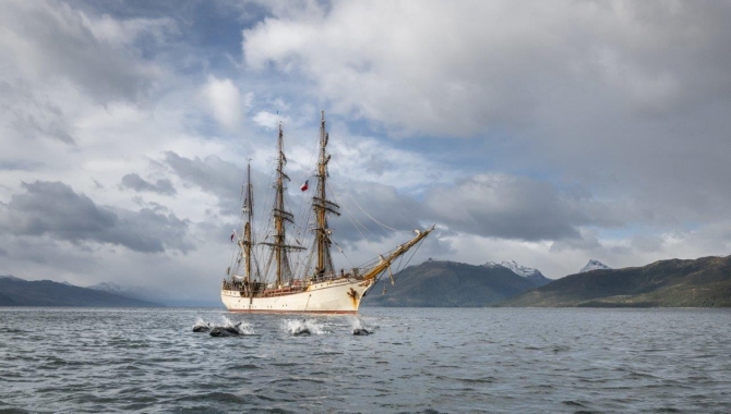 Chilean channels bark europa Jordi Plana Morales