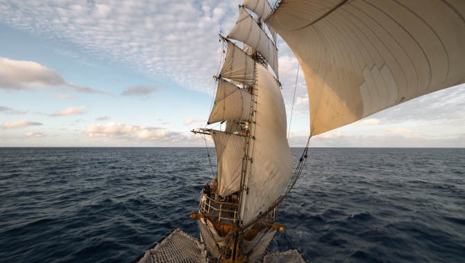 Bark EUROPA Fraser Edwards