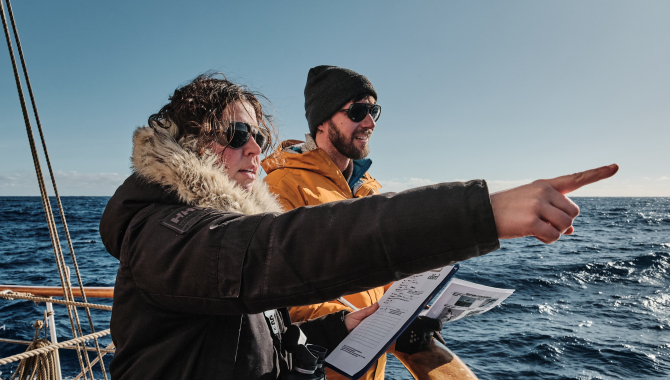 Open Ocean Seabird Survey