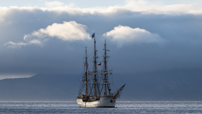 Bark EUROPA in Chile