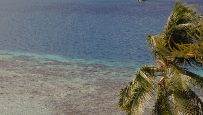 French Polynesia by Jan Stevens
