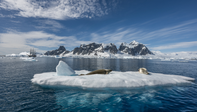 Landing at Yalour Island and Zodiac cruising Berthelot Islands in Collins Bay by Jordi Plana Morales