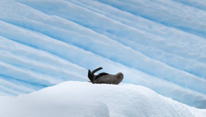 Wilhemina Bay, Orne Harbour and Orne Islands