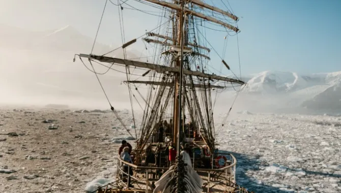 Bark EUROPA Drea Leon