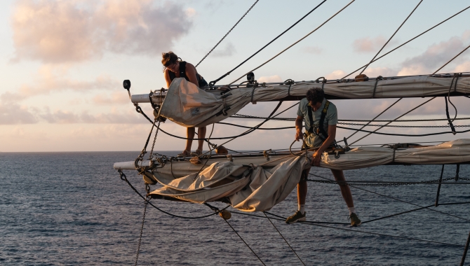 Bark EUROPA photographer Fraser Edwards