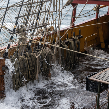 southern ocean sailing