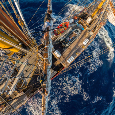 Bark EUROPA from above