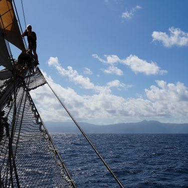 French Polynesia by Jan Stevens
