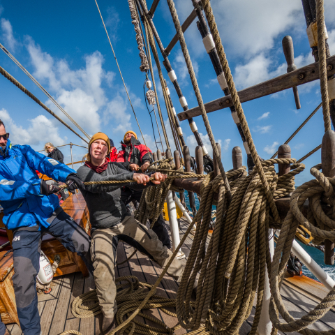 Sail training on board Bark EUROPA