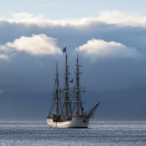 Bark EUROPA in Chile