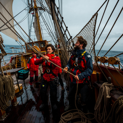 Sailors Requirements