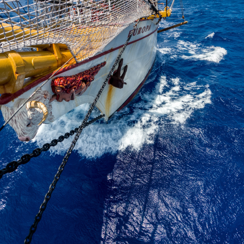 EUROPA and the bull.jpg