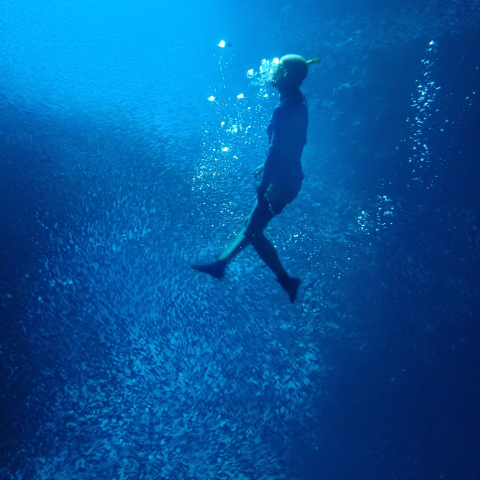 Swimming in the ocean