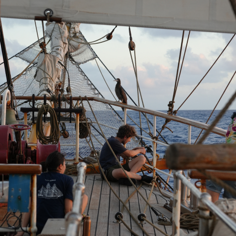 French Polynesia by Jan Stevens
