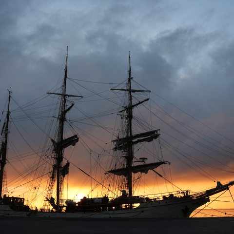 French Polynesia by Jan Stevens