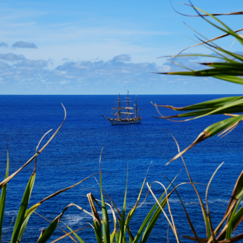 French Polynesia by Jan Stevens